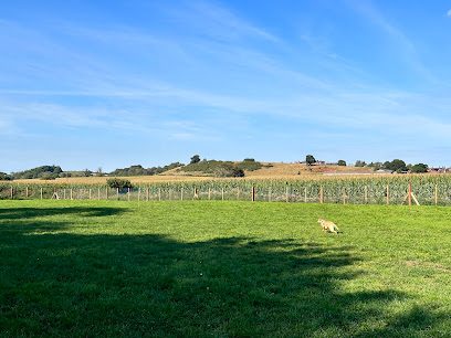 Newport Dog Park — secure dog field in Newport