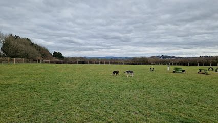 Launceston Dog Walking Field — secure dog field in Launceston
