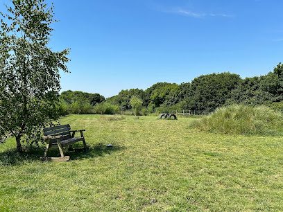 Paws at the Junction Ltd — secure dog field in Plymouth