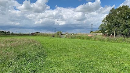 Puppy Paddocks (exclusive hire dog paddock) — secure dog field in Norwich