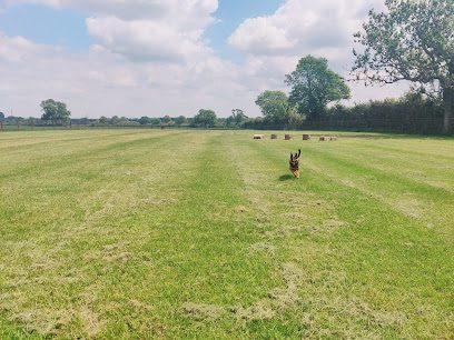 Harrington Dog Walking Field — secure dog field in Kettering
