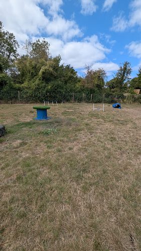 Fun and Run secure dog field — secure dog field in Dinas Powys