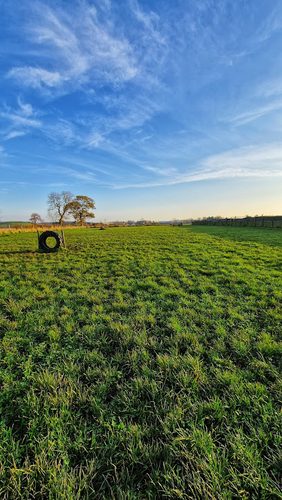 Run Free Dog Fields - Inchinnan — secure dog field in Inchinnan