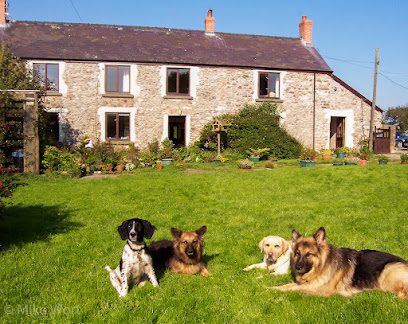 Barnlake House — secure dog field in Milford Haven