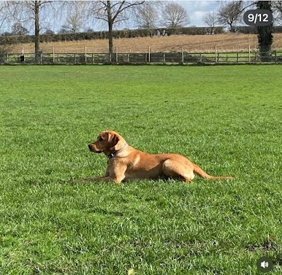 Tuttington Dog Park — secure dog field in Norwich