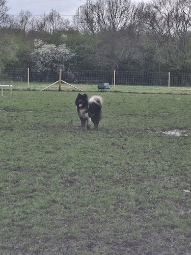 Bell Green Farm — secure dog field in Goole