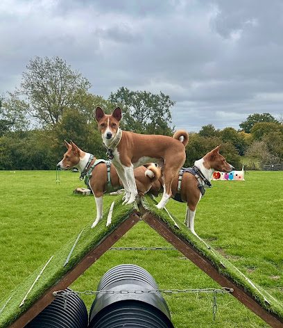 Paws Playfield Datchworth Ltd — secure dog field in Knebworth