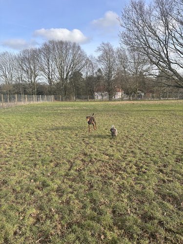 Birchanger Dog Field — secure dog field in Bishop's Stortford