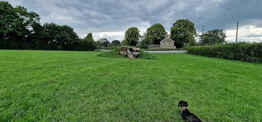 Snibston Meadow Dog Exercise Field — secure dog field in Coalville