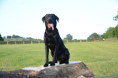 Warridge Paws — secure dog field in Bromsgrove