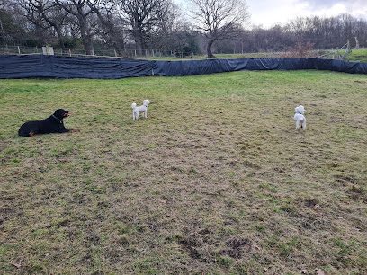 Rivelin Valley Dog Park — secure dog field in Sheffield