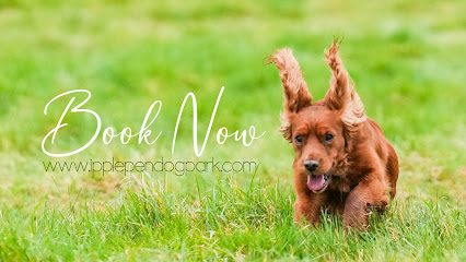 Ipplepen Dog Park — secure dog field in Newton Abbot