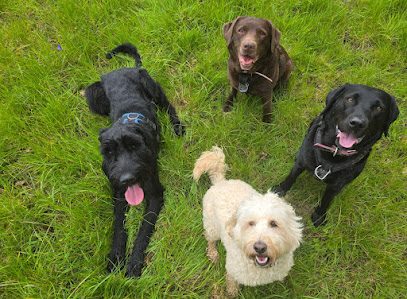 Happy Hounds — secure dog field in Uckfield