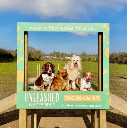 Dog Park Unleashed Wadebridge — secure dog field in Wadebridge
