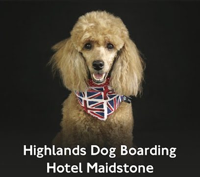 Highlands Dog Boarding Hotel MAIDSTONE — secure dog field in Maidstone
