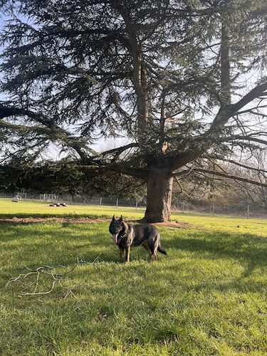 Grow Walkies - Amwell — secure dog field in Ware