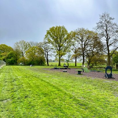 The Dogs Paddocks Middlewich — secure dog field in Middlewich