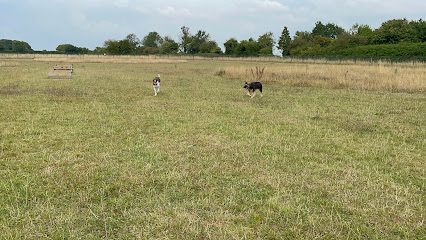 E & P Secure Dog Walking Field — secure dog field in Cheltenham
