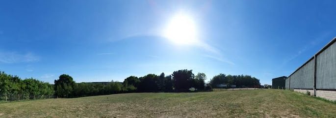 Dog Walking Field; Training; Day care and Grooming - Fleurs Friendly Fields — secure dog field in Mansfield
