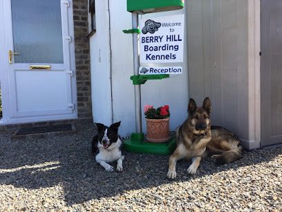 Berry Hill Boarding Kennels — secure dog field in Haverfordwest