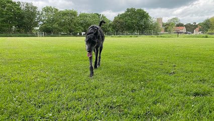 Norfolk Dog Facilities — secure dog field in Dereham