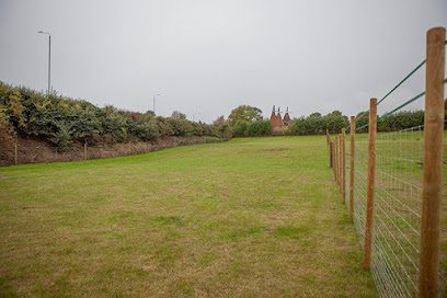 Paws Unleashed Dog Paddock — secure dog field in Gillingham