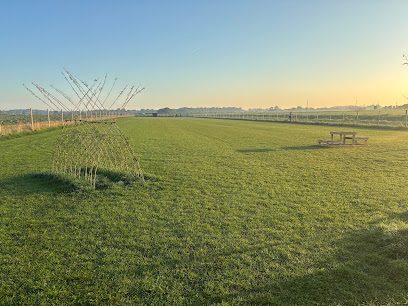 Paws in the Paddock Aughton — secure dog field in Ormskirk