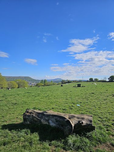 SoftPaws Adventure Park — secure dog field in Neath