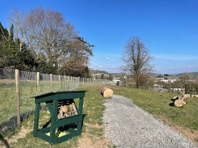 The Dog Park @ Parc Dewi Sant — secure dog field in Carmarthen