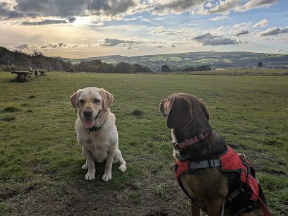 Hounds Haven — secure dog field in Glossop
