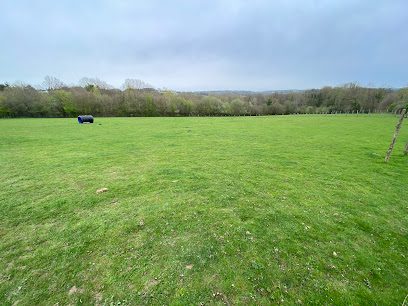 The Dog Walking Field - Pembury — secure dog field in Tunbridge Wells