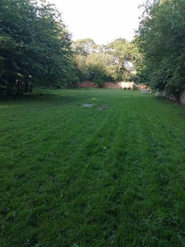 K9 Walled Garden — secure dog field in Saint Asaph
