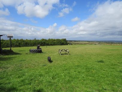 Hagbourne Hill Dog Field — secure dog field in Didcot