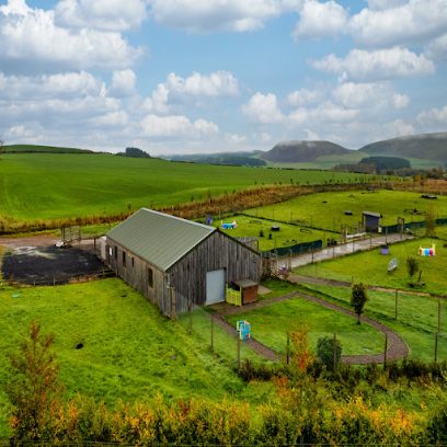 Hilltop Doggy Day Care & Dog Walking — secure dog field in Hawick