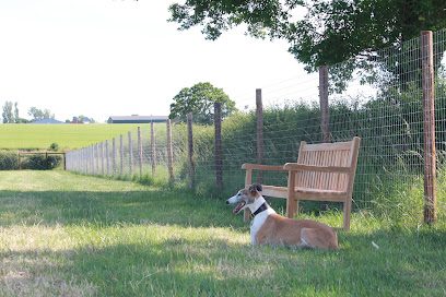 Stratford Dog Walking Field — secure dog field in Stratford-upon-Avon