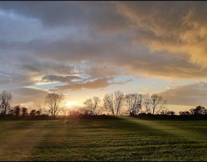 Milo's Meadow (Heckington off Lead Dog Park) — secure dog field in Sleaford