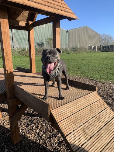 Grow Walkies - Chelmsford — secure dog field in Chelmsford