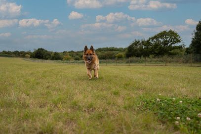 Perry Dog Field — secure dog field in Kidderminster