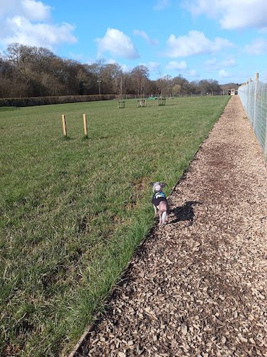 Park For Paws — secure dog field in Cranleigh