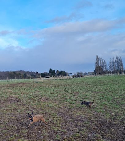 Canine Capers Dog Field — secure dog field in Bewdley