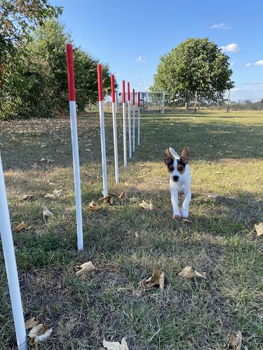 Wheatcroft Farm Dog Park — secure dog field in Nuneaton