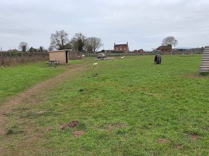 Zoomies dog park Albrighton — secure dog field in Wolverhampton