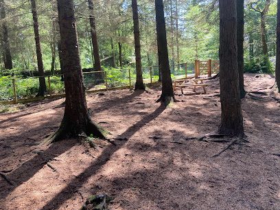 Center Parcs Dog Park (Moorland View) — secure dog field in Penrith