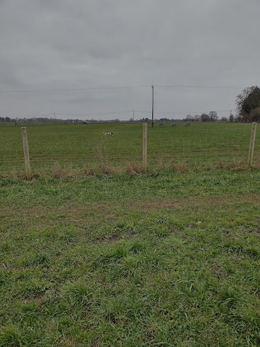 Fressingfield Dog Run — secure dog field in Eye