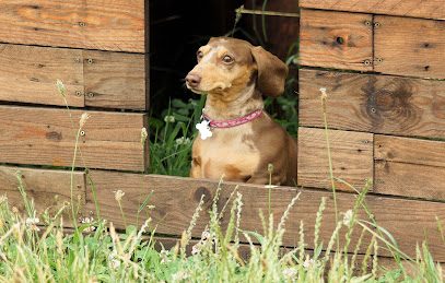 The Dog Park Three Legged Cross — secure dog field in Wimborne