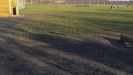 Driffield Dog Field — secure dog field in Driffield