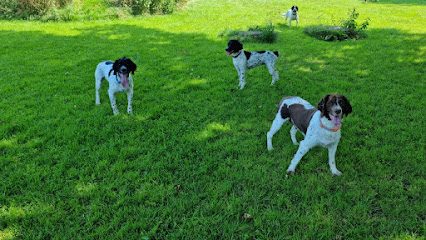 Leads Away Secure Hillside Dog Park — secure dog field in Hebden Bridge