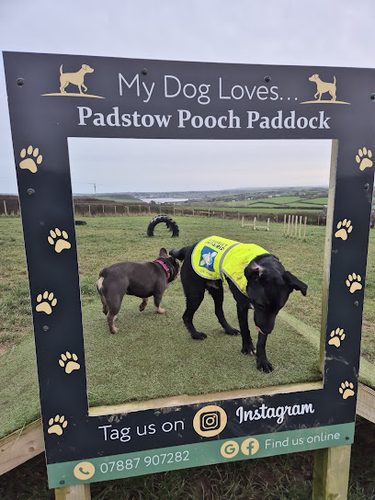 Padstow Pooch Paddock — secure dog field in Wadebridge