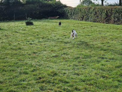 Snoopys Dog Park — secure dog field in Newent