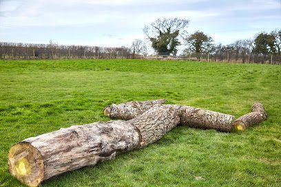 Martham Paw Ground — secure dog field in Great Yarmouth